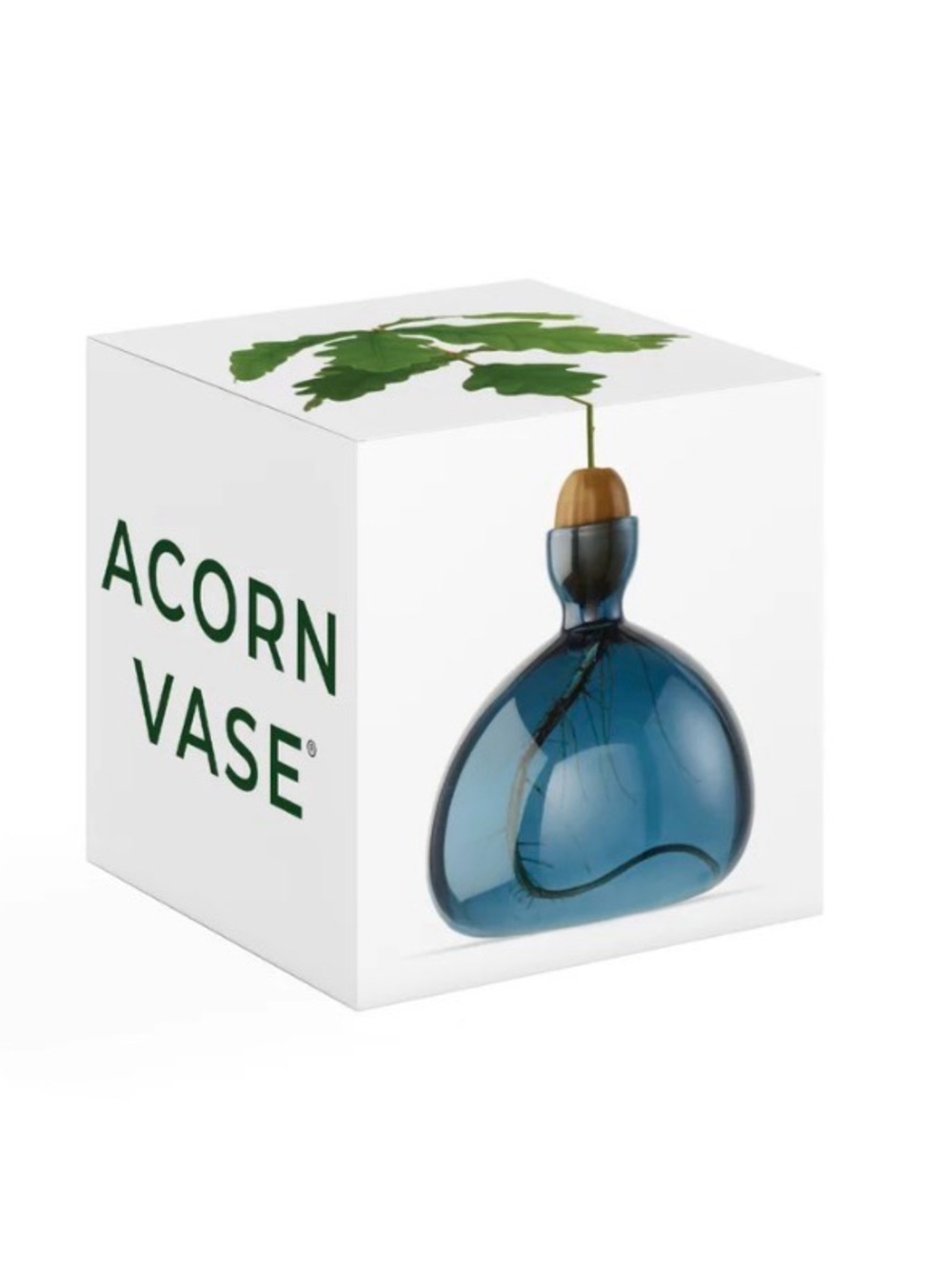New Ilex Studio Tree Grow Vase